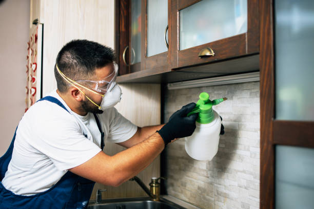Best Wasp Removal Services  in Lake Wynonah, PA