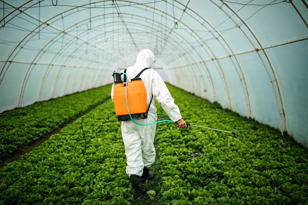 Best Affordable Pest Control Services  in Lake Wynonah, PA