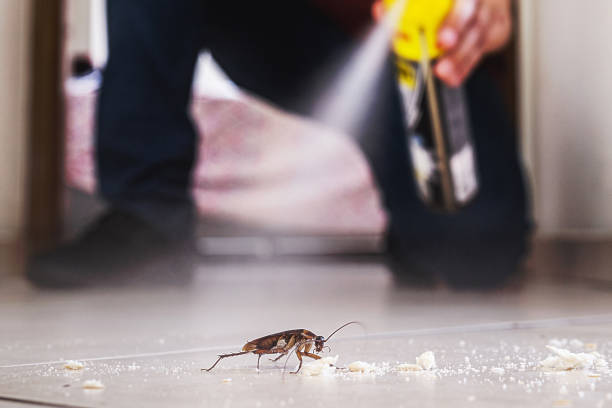 Best Pest Prevention Services  in Lake Wynonah, PA