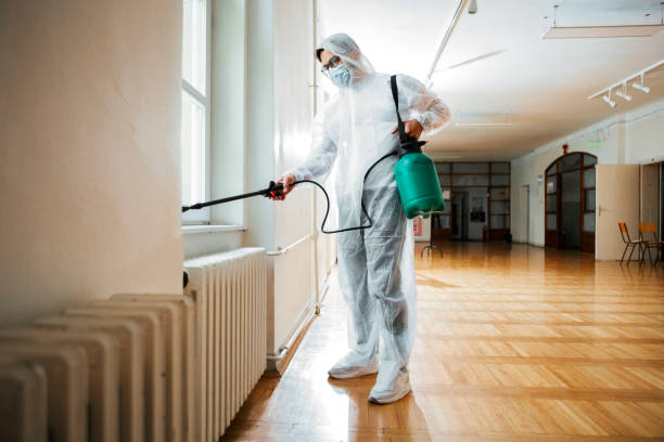 Flea Control Services in Lake Wynonah, PA